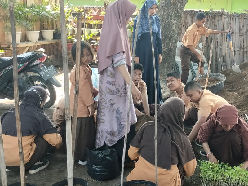 SLB - Berkebun 2